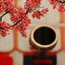 伝統工芸コラボアイコン